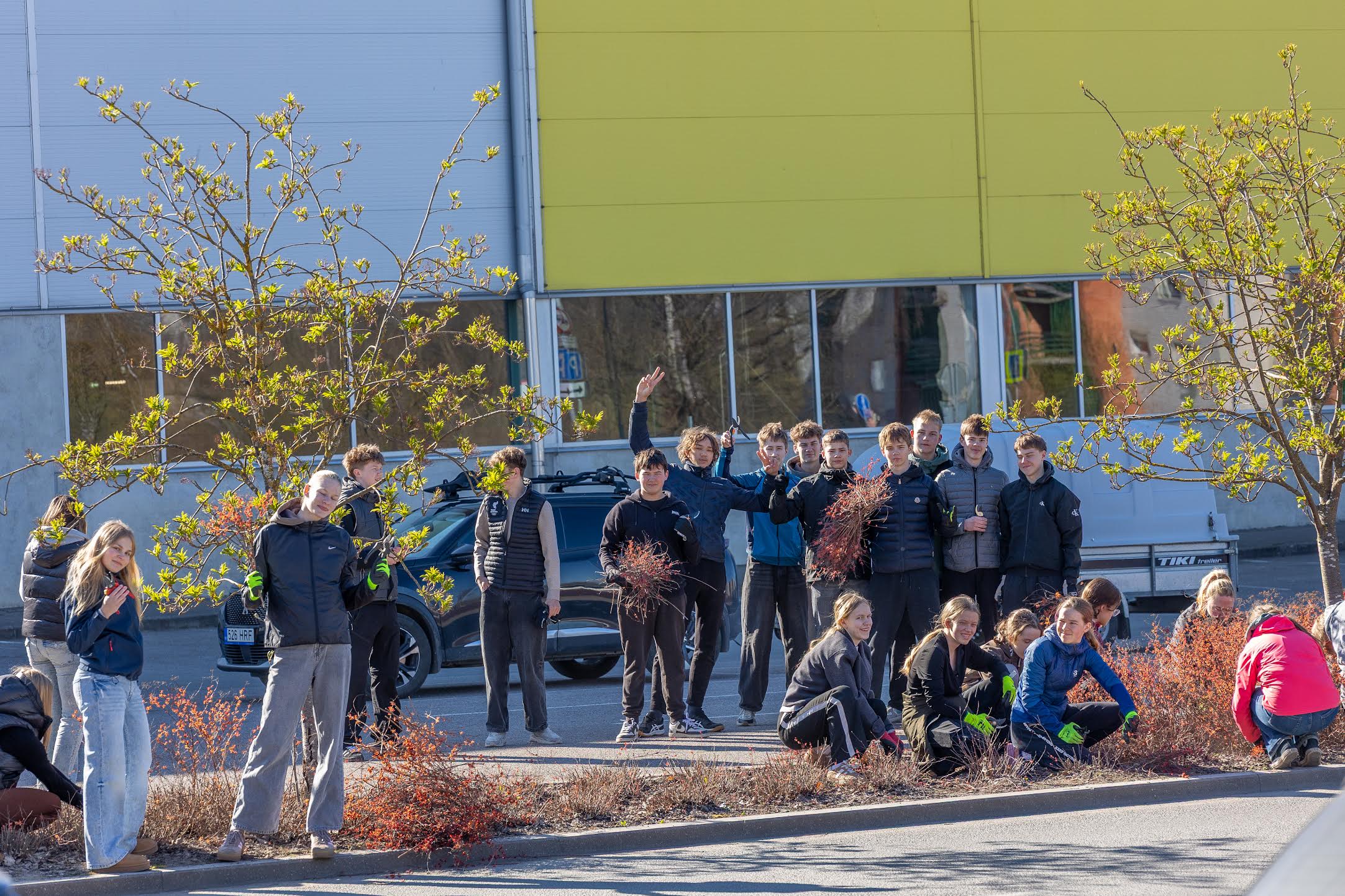 Kreutzwaldi kooli kaheksandikud 22. aprilli hommikul koos õpetaja Merit Kundiga spordikeskuse ees linnaruumi haljastust korrastamas. Foto: AIGAR NAGEL